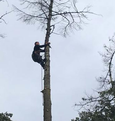 artisan heugebaert